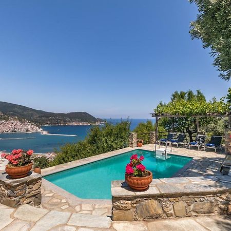 Villa Nina Skopelos- Private Pool - Magnificent Views エクステリア 写真