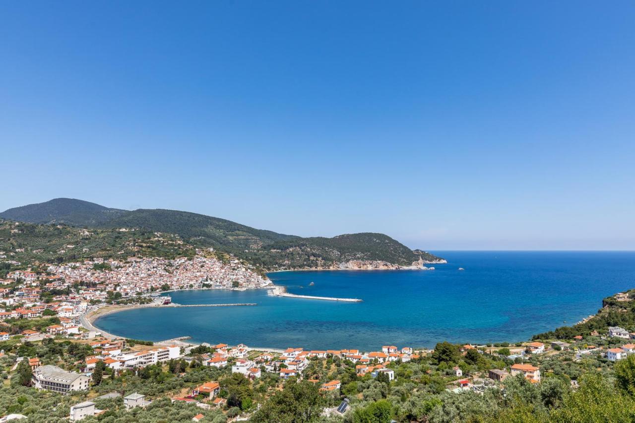 Villa Nina Skopelos- Private Pool - Magnificent Views エクステリア 写真