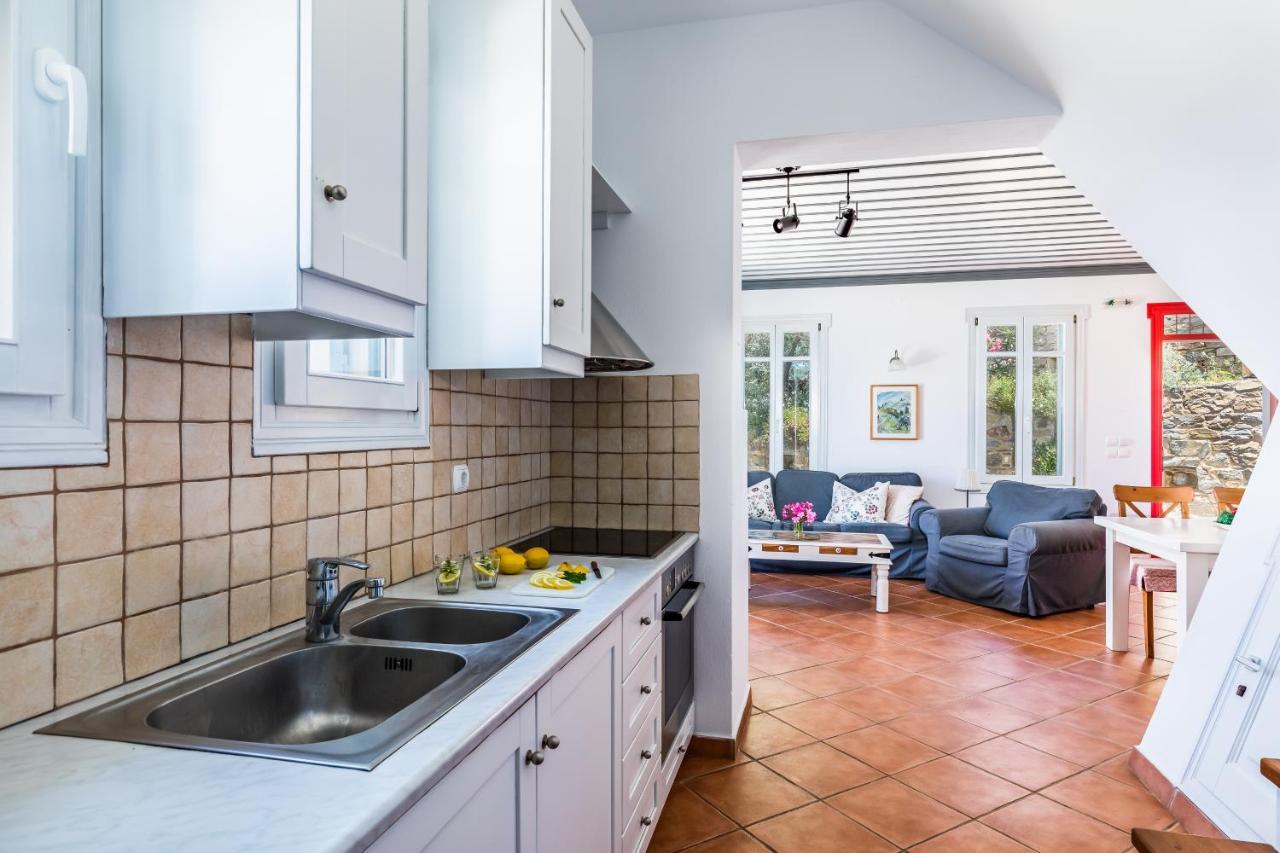 Villa Nina Skopelos- Private Pool - Magnificent Views エクステリア 写真